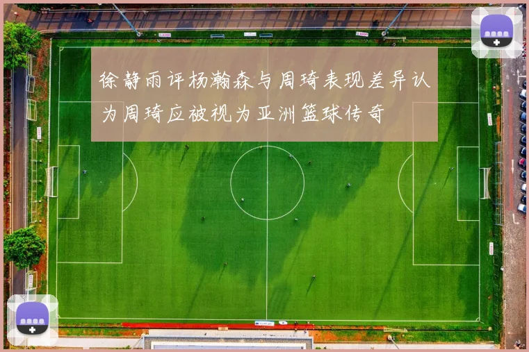 徐静雨评杨瀚森与周琦表现差异认为周琦应被视为亚洲篮球传奇
