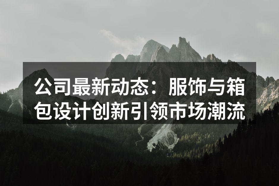 最新款箱包设计展示
